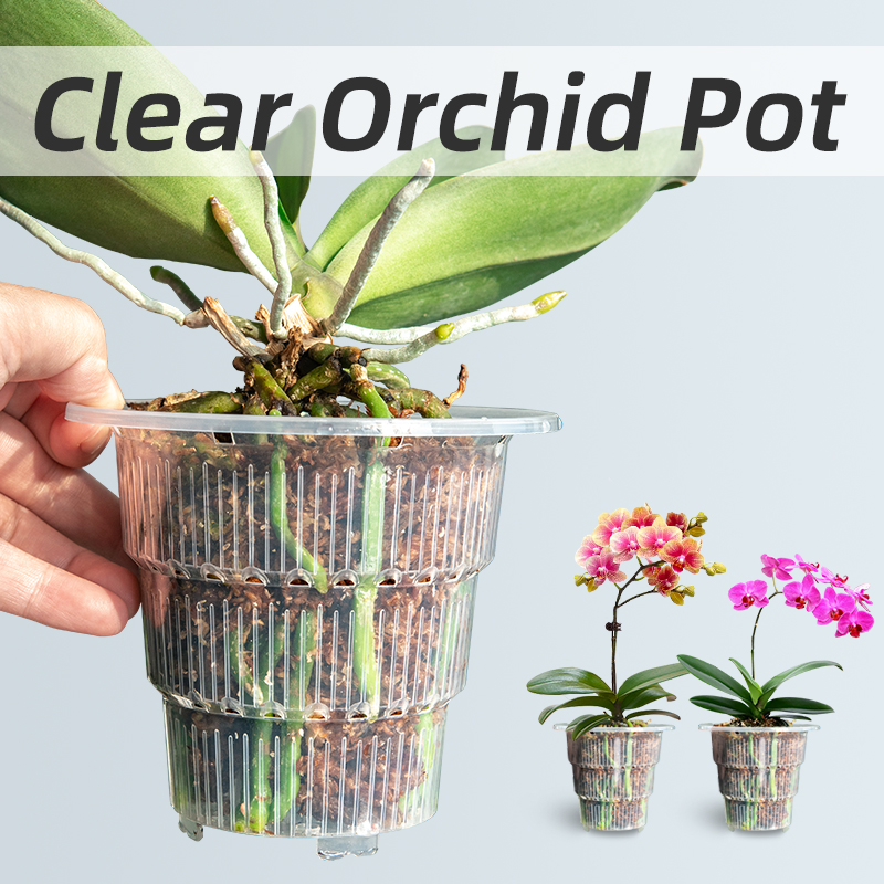 Aloe Vera Pot - Meshpot Clear Plastic Orchid Pots with