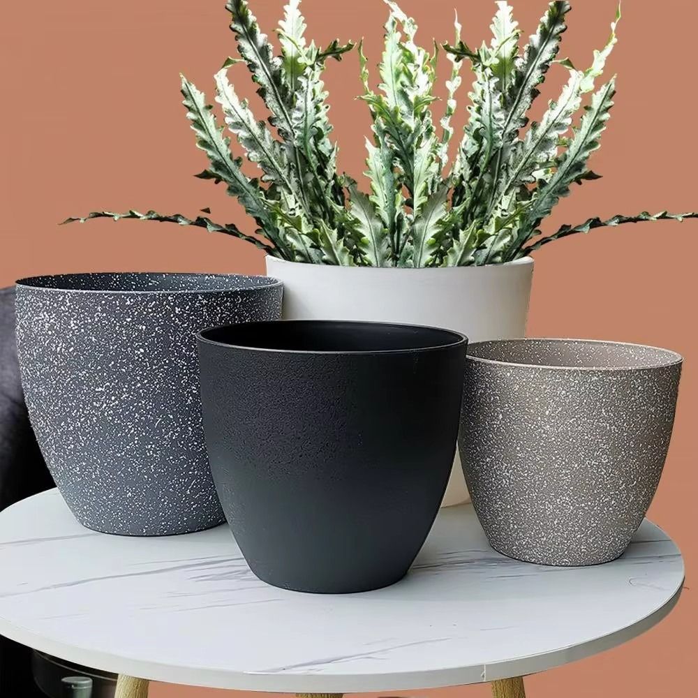 Frosted Imitation Stone Bonsai - Aloe Vera Pot ulasan dan harga