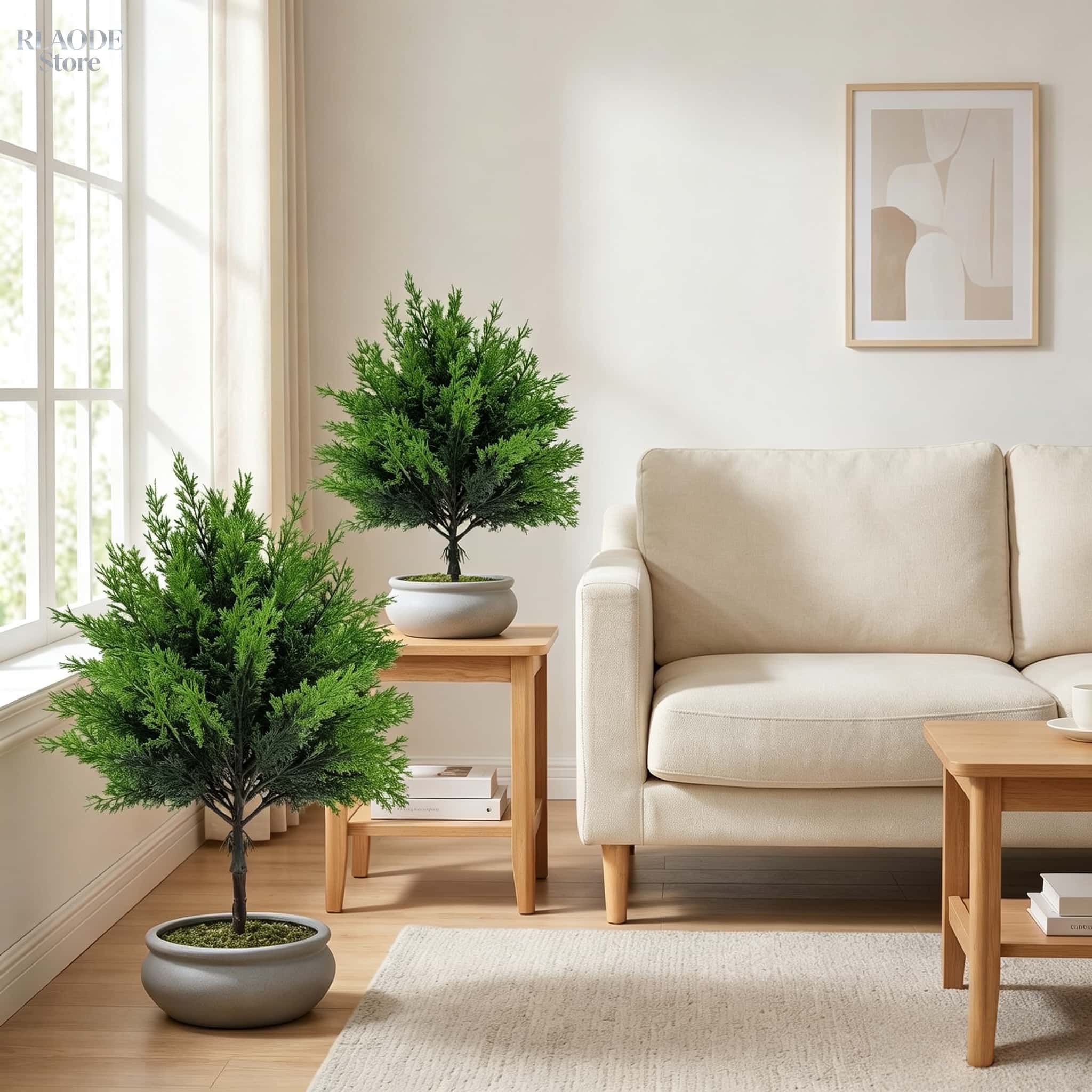 2pcs Outdoor Artificial Greene - Dracaena Marginata ulasan dan harga