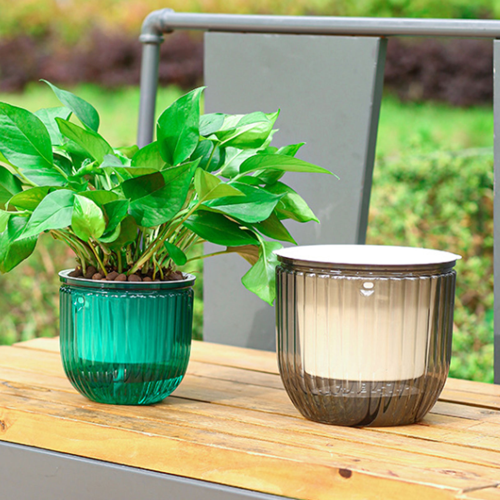 Automatic Self Watering Plant  - Spider Plant Hanging ulasan dan harga