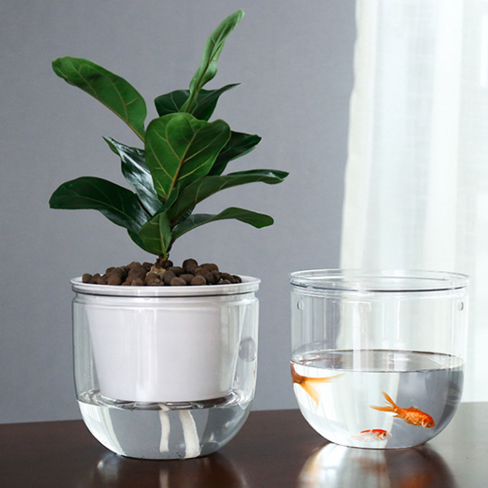 Automatic Self Watering Plant  - Spider Plant Hanging ulasan dan harga