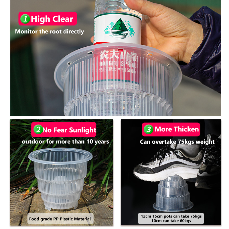 Meshpot Clear Plastic Orchid P - Aloe Vera Pot ulasan dan harga