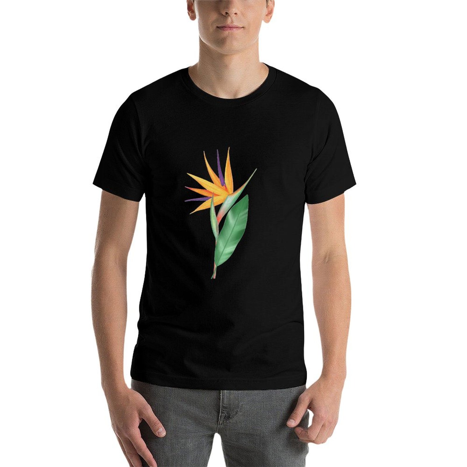 Watercolor bird of paradise fl - Bird Paradise Strelitzia ulasan dan harga