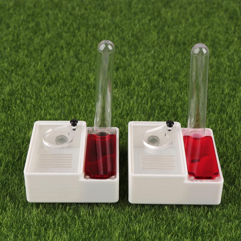 1Pcs Ant Farm Queen Ant's Nest - Begonia Rex ulasan dan harga