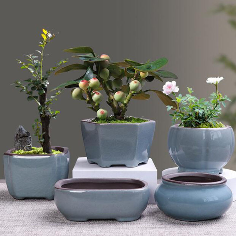 Retro Ceramic Flower Pot Aspar - Echeveria Succulent ulasan dan harga
