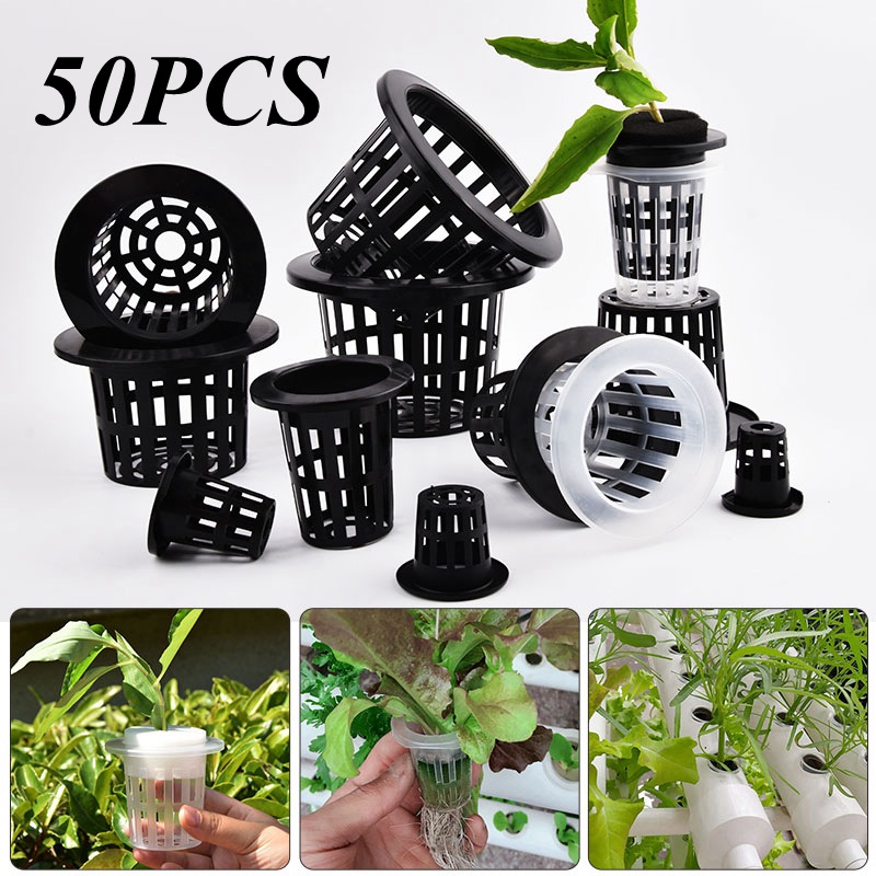 50Pcs Black White Soilless Mes - Aloe Vera Pot ulasan dan harga