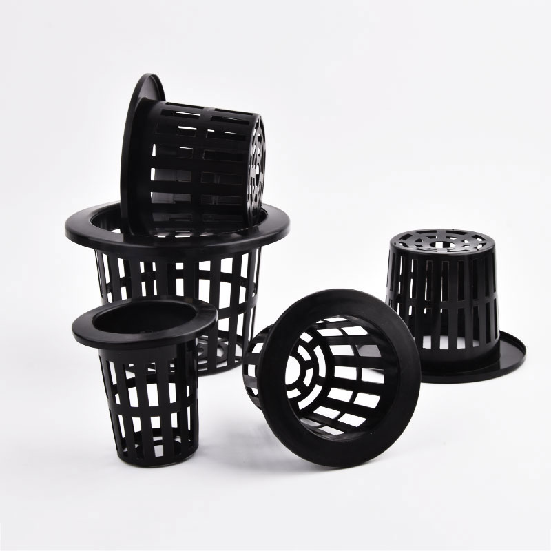 50Pcs Black White Soilless Mes - Aloe Vera Pot ulasan dan harga