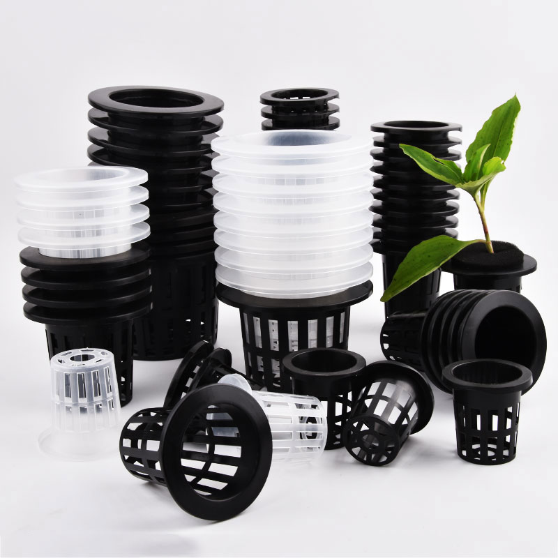 50Pcs Black White Soilless Mes - Aloe Vera Pot ulasan dan harga