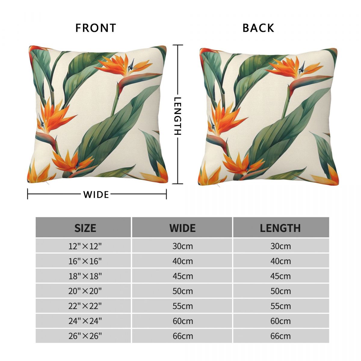 Bird Of Paradise Strelitzia Sq - Bird Paradise Strelitzia ulasan dan harga