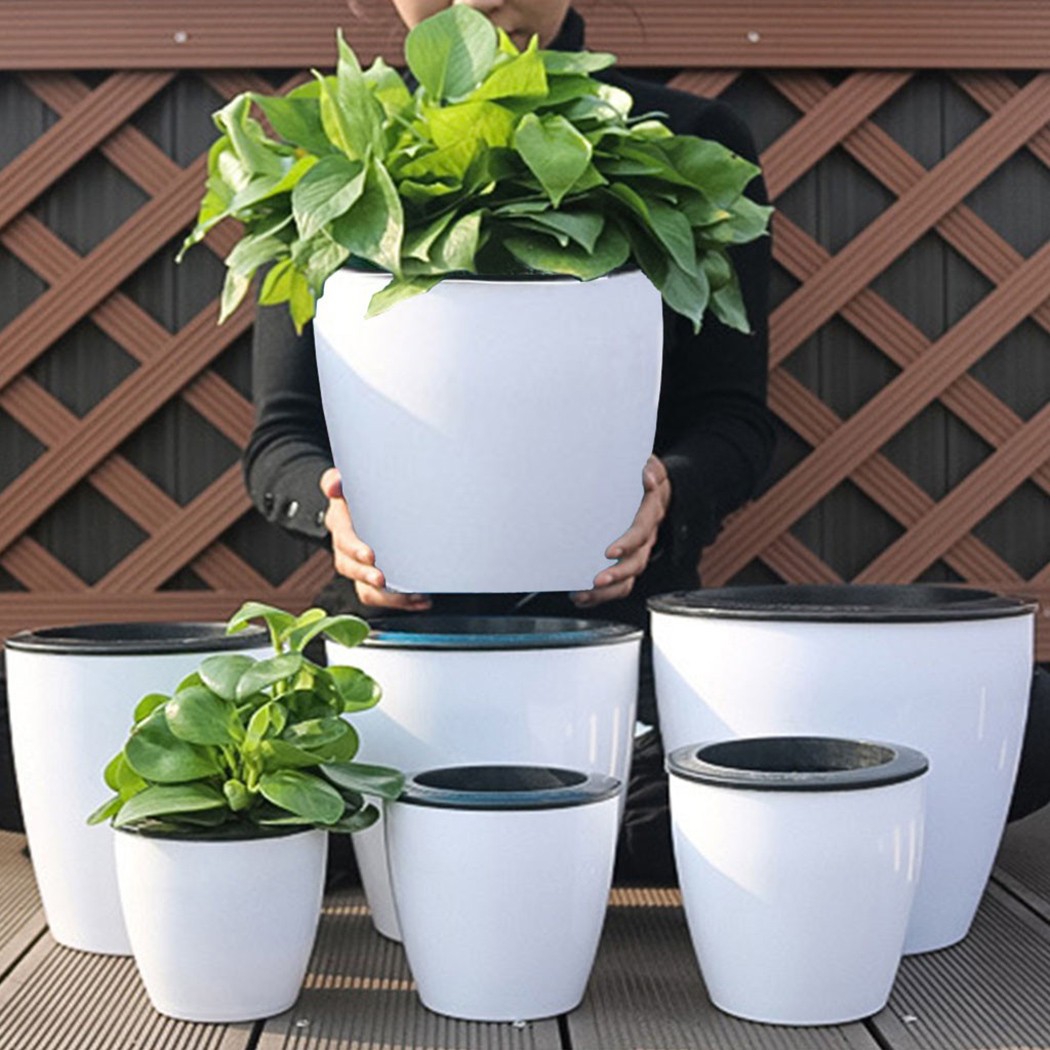 Automatic Watering Flower Plan - Aloe Vera Pot ulasan dan harga