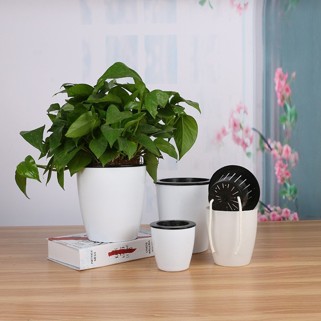 Automatic Watering Flower Plan - Aloe Vera Pot ulasan dan harga