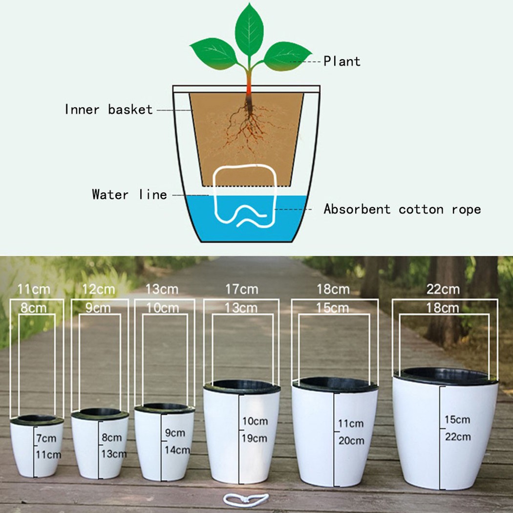 Automatic Watering Flower Plan - Aloe Vera Pot ulasan dan harga