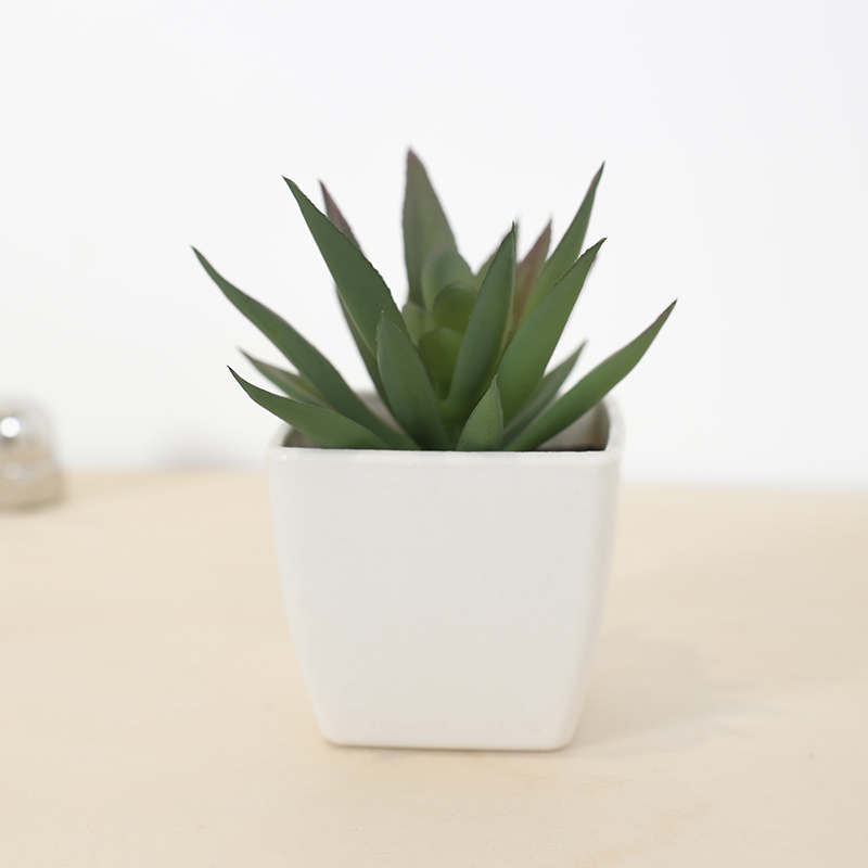 Mini Artificial Succulent Fair - Echeveria Succulent ulasan dan harga