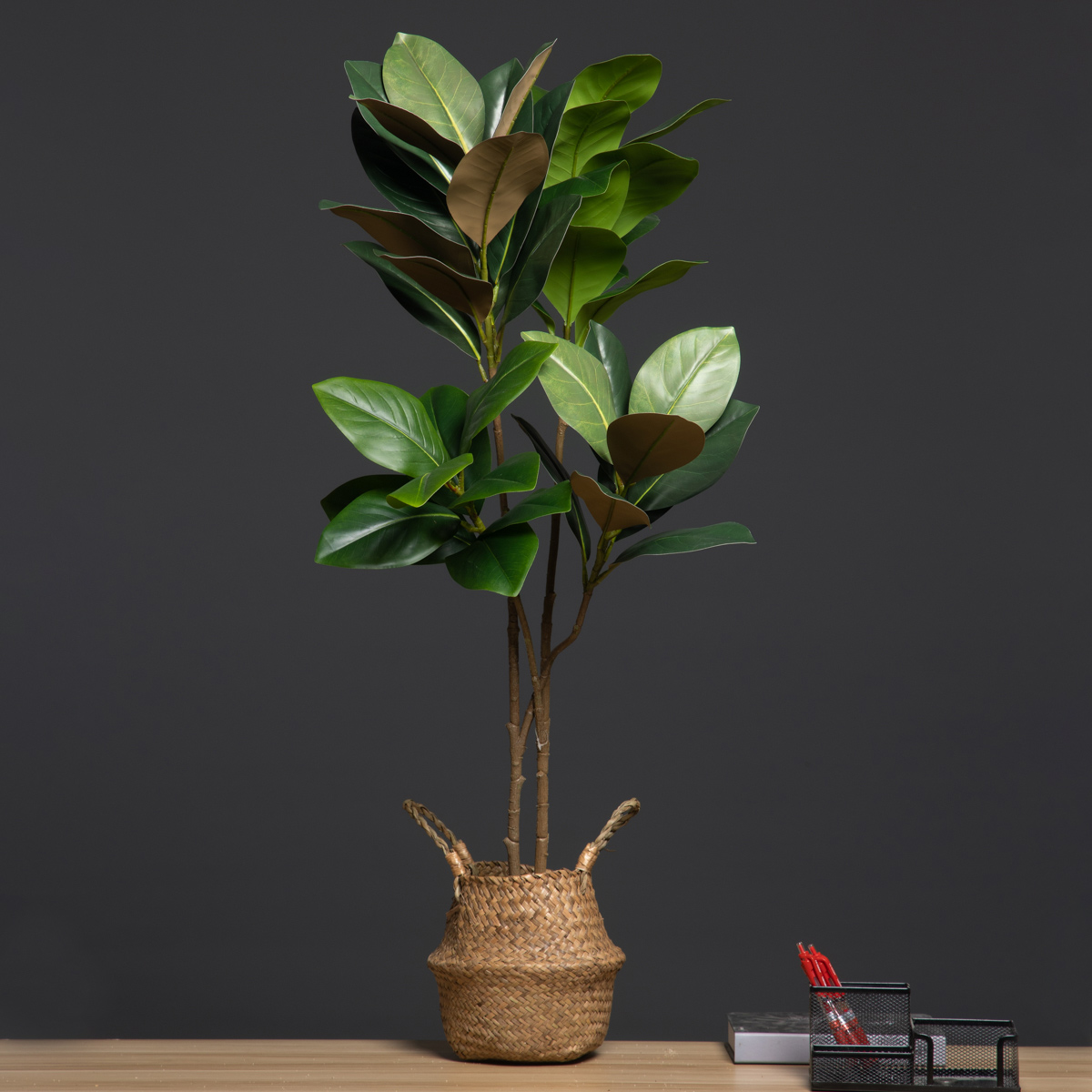 105cm 2 Forks Large Artificial - Dracaena Marginata ulasan dan harga